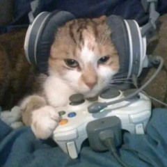 xbox(theyluvchaos)