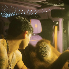 Bass stuff and tings