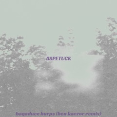 Badgaduce Burps (Ben Kaczor Remix)