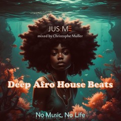 Deep Afro House Summer 24'