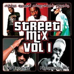 Chinese Assassin  - Street Mix Vol. 1 (Mix 2010 Ft Elephant Man, Tessanne Chin, Chris Brown)