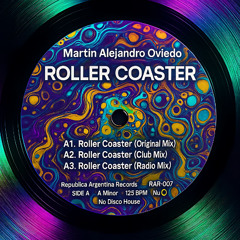 Roller Coaster (Radio Mix)