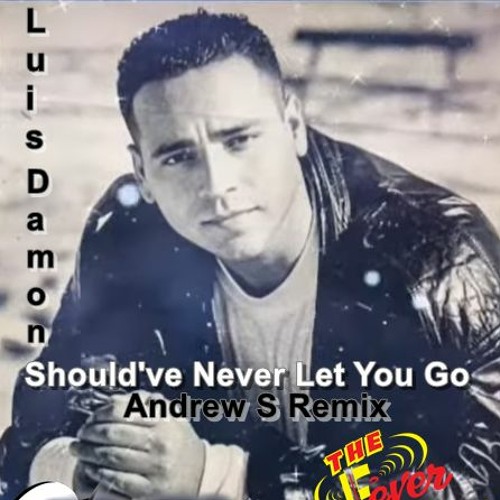 Luis Damon - Should've Never Let You Go  Andrew S Remix 2023