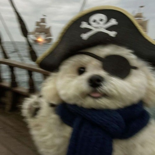 plugg_freestyle(prod.4_head)