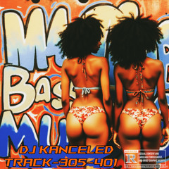 305-401  (miami bass)