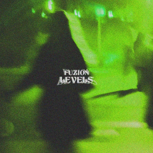 Artwork for the song LEVELS by FUZION on Next Sound