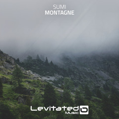 LEV142 : Sumi - Montagne [OUT NOW]