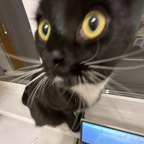 unforgiven (speed up)