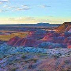 Dreams of the Painted Desert -Loop Diggers-166