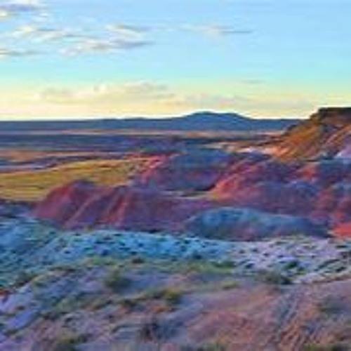 Dreams of the Painted Desert -Loop Diggers-166