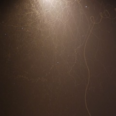 at night