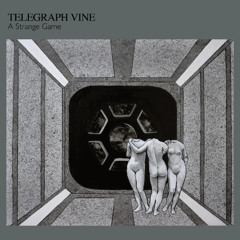 Telegraph Vine - Here to Stay