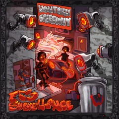 FULL THROTTLE 3 : SURVEILLANCE | FT3