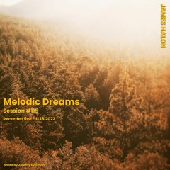 Melodic Dreams Session #115 - November 15th 2022 [live]