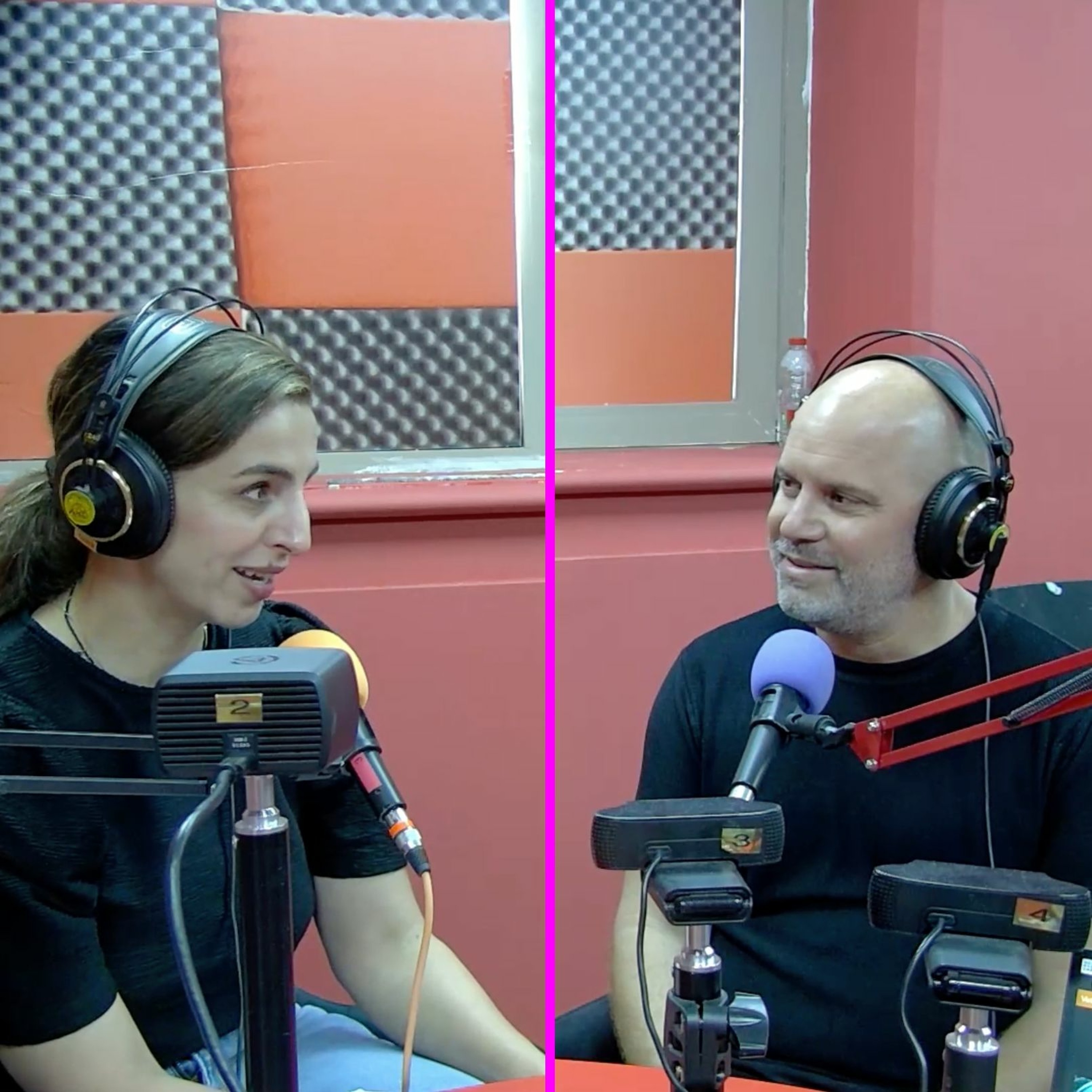 ספרים , רבותי , ספרים – על ספרות בדיגיטל episode artwork