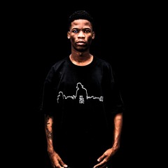 CAMELPHAT,SHIMZA & JULIA CHURCH _EMBERS (Robotic ofc REMIX)