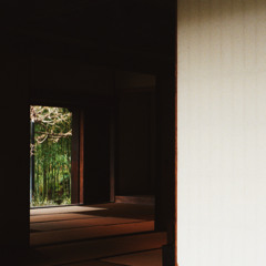 PREMIERE: Synnhaven - Trip