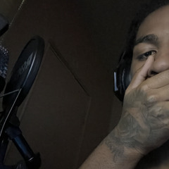 stupid ho (prod.raptor)