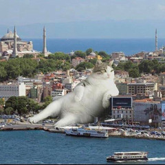 istanbul freestyle X vision