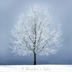 A Winter's Tale