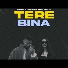 Tere Bina - Garry Sandhu ft Miss Pooja | New Punjabi  Song 2024