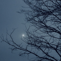 The Storm
