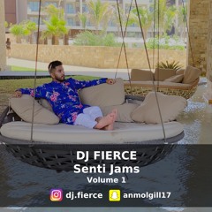 DJ FIERCE Senti Jams Volume 1