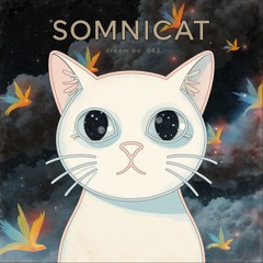 ∞ luminair