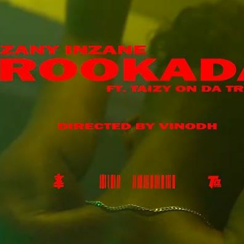 Zany Inzane - Rookada (PSOLO Prodz)