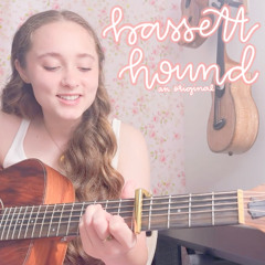 bassett hound (original, acoustic)