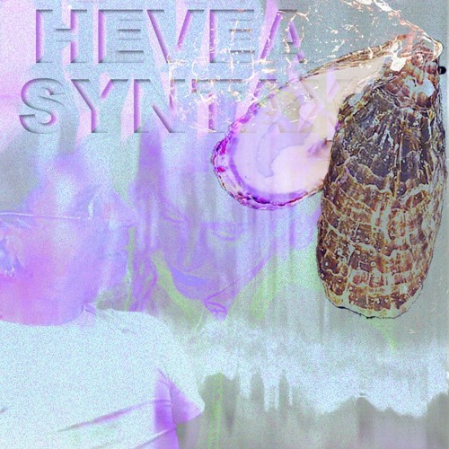 HEVEA SYNTAX ep09 w/ Fatma Pneumonia & SPMDJ _ LYL RADIO