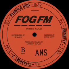 Anthony Naples ─ Benefit [ANS-3000]