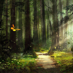 Butterfly Aura