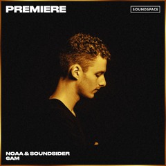 Premiere: NOAA & Soundsider - 6am [Family Piknik]