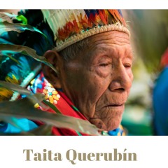 Armónica en Yagé