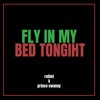 DJ KiddFrost x ENTRAPMENT - Fly In My Bed Tonight [Mashup] artwork