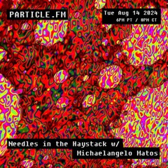 Needles in the Haystack w/ Michaelangelo Matos - Aug 14th 2024