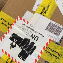 Not Bob Dylan feat. Greifvögel