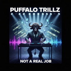 Not a Real Job