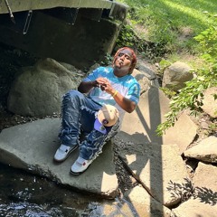 ION GIVE A DAMN