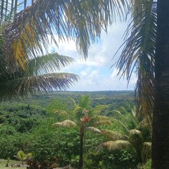 Tabuywol🌴🌴 #Luke