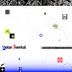 PREMIERE : petar_tverkal - Comfort Vision of Life