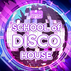 Brian Ferris School of Disco House Vol.1