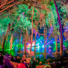 Renegreyde Hulaween Mix 2025