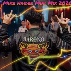Mike Haider - Mini Mix 2020