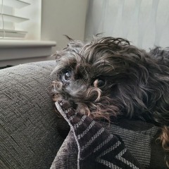 cruising eassssy (guitar and rough VOCAL!=S!)