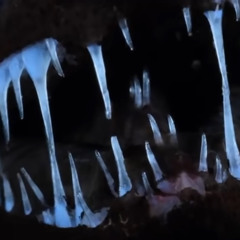 Not Afraid Of Monsters