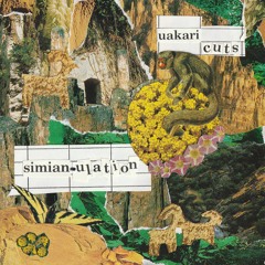 SIMIANULATION