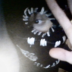 Jus Me (feat. sxolordanes & sxolude)