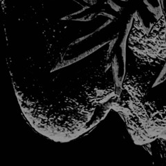 Violence Breeds Violence - King Yosef (KCVS Flip)